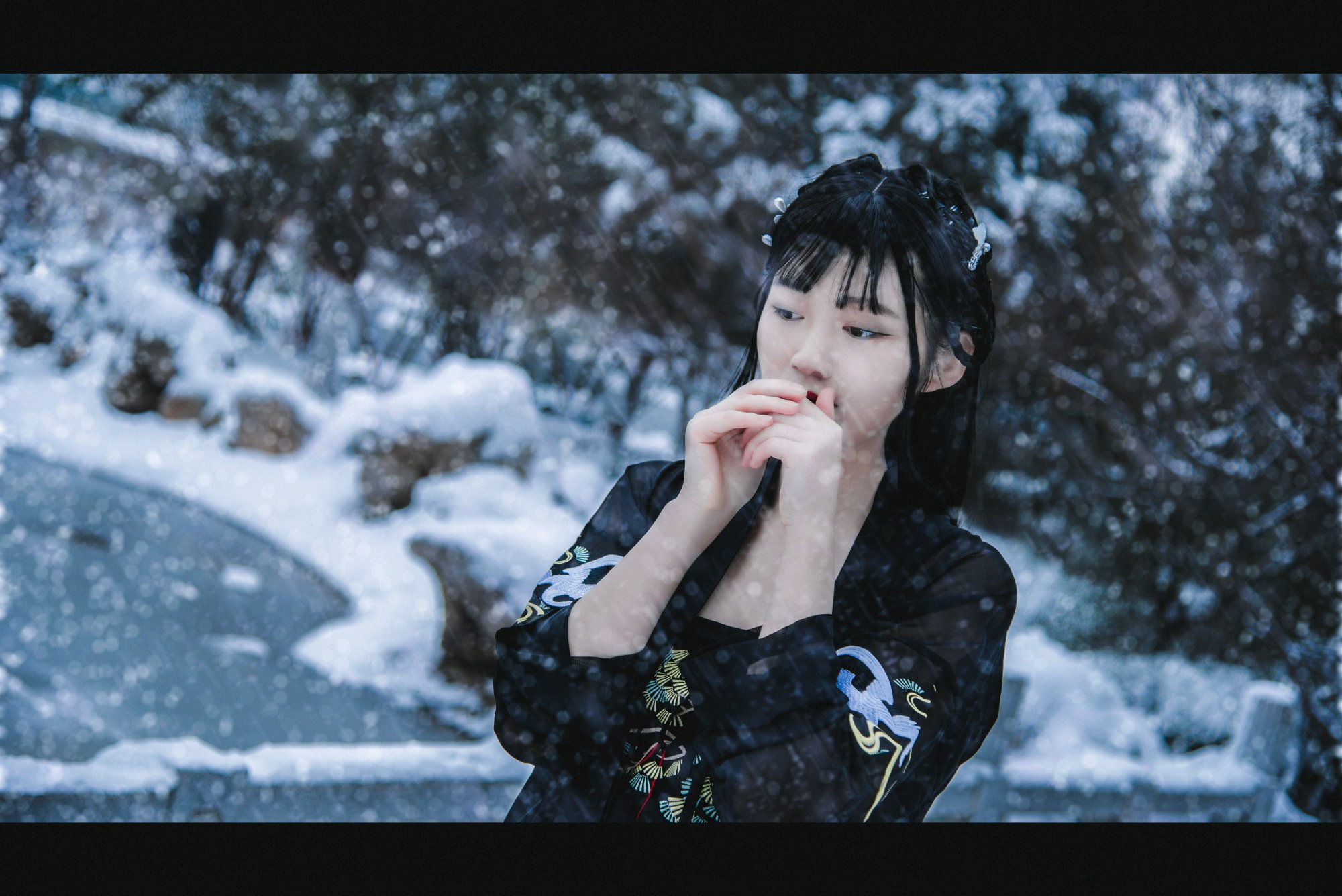 雪景
