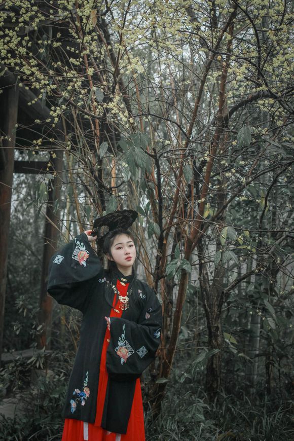 人生是一场镜花水月的梦
