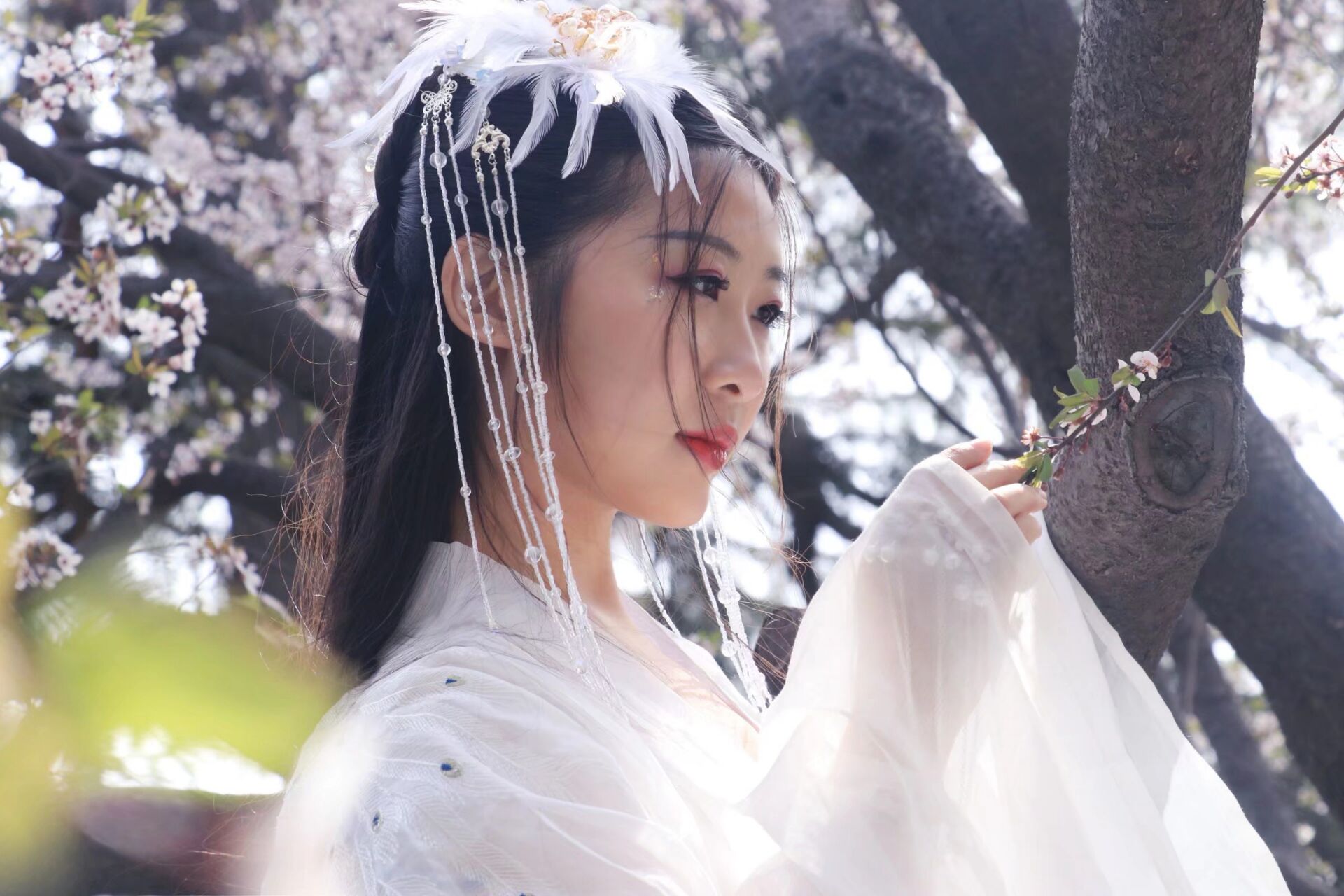 慕莲卿