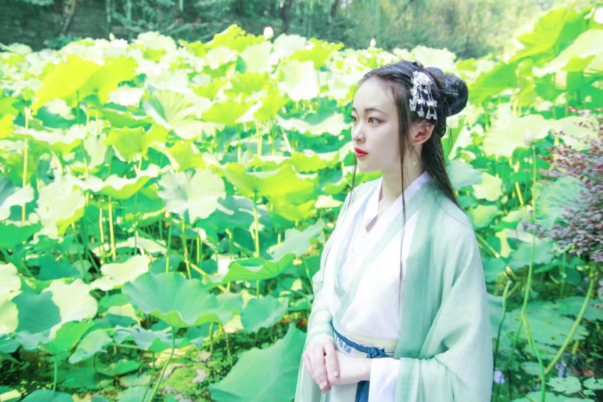 花殇殇|一池荷叶青衫客