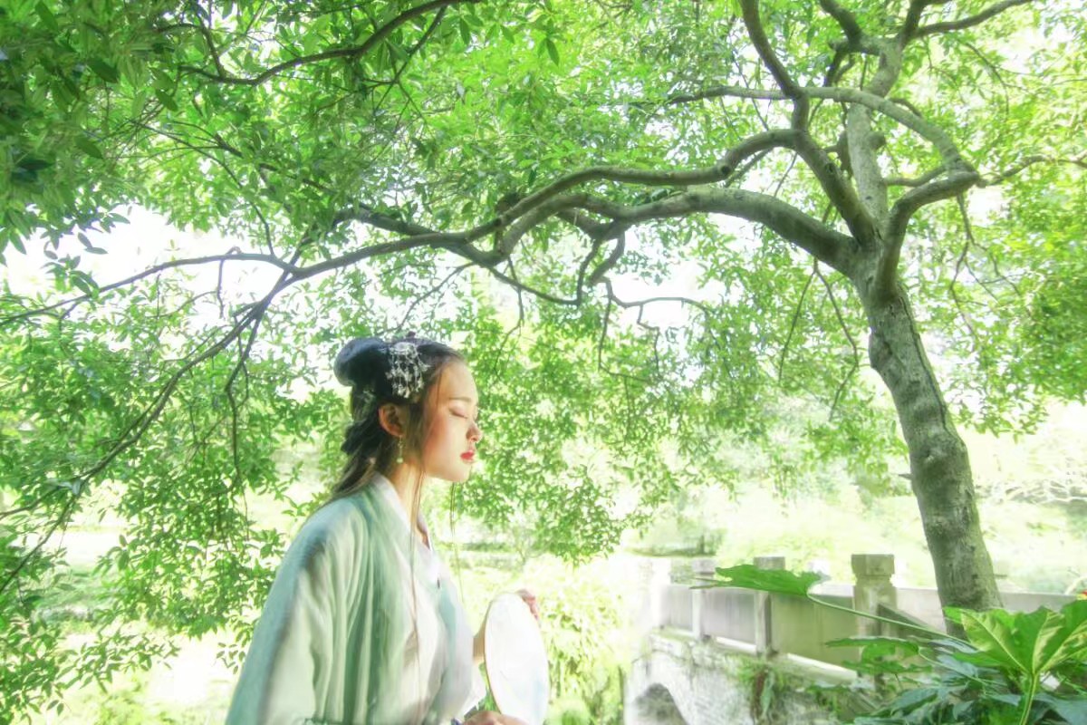 花殇殇|一池荷叶青衫客
