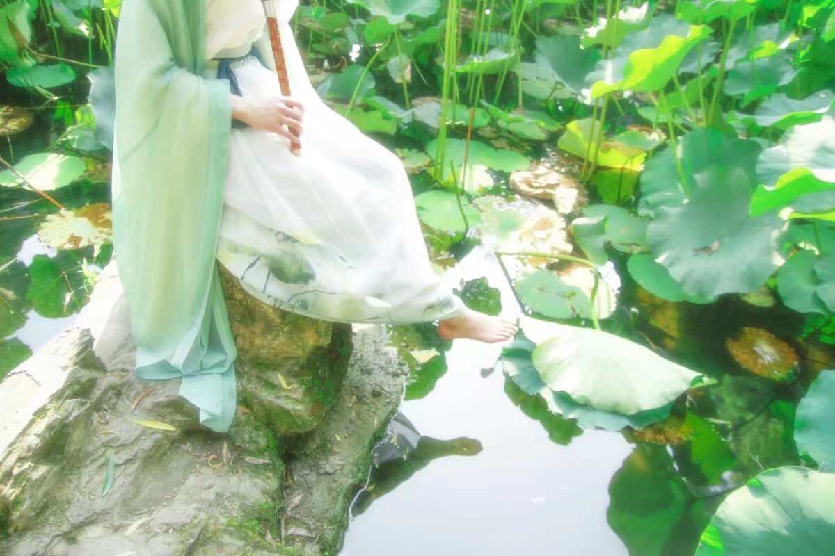 花殇殇|一池荷叶青衫客