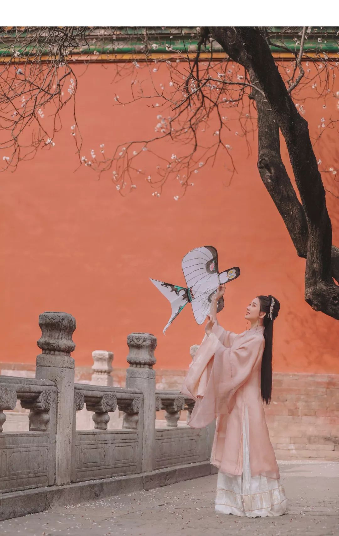 汉服摄影｜听说，这是故宫最美的一棵树