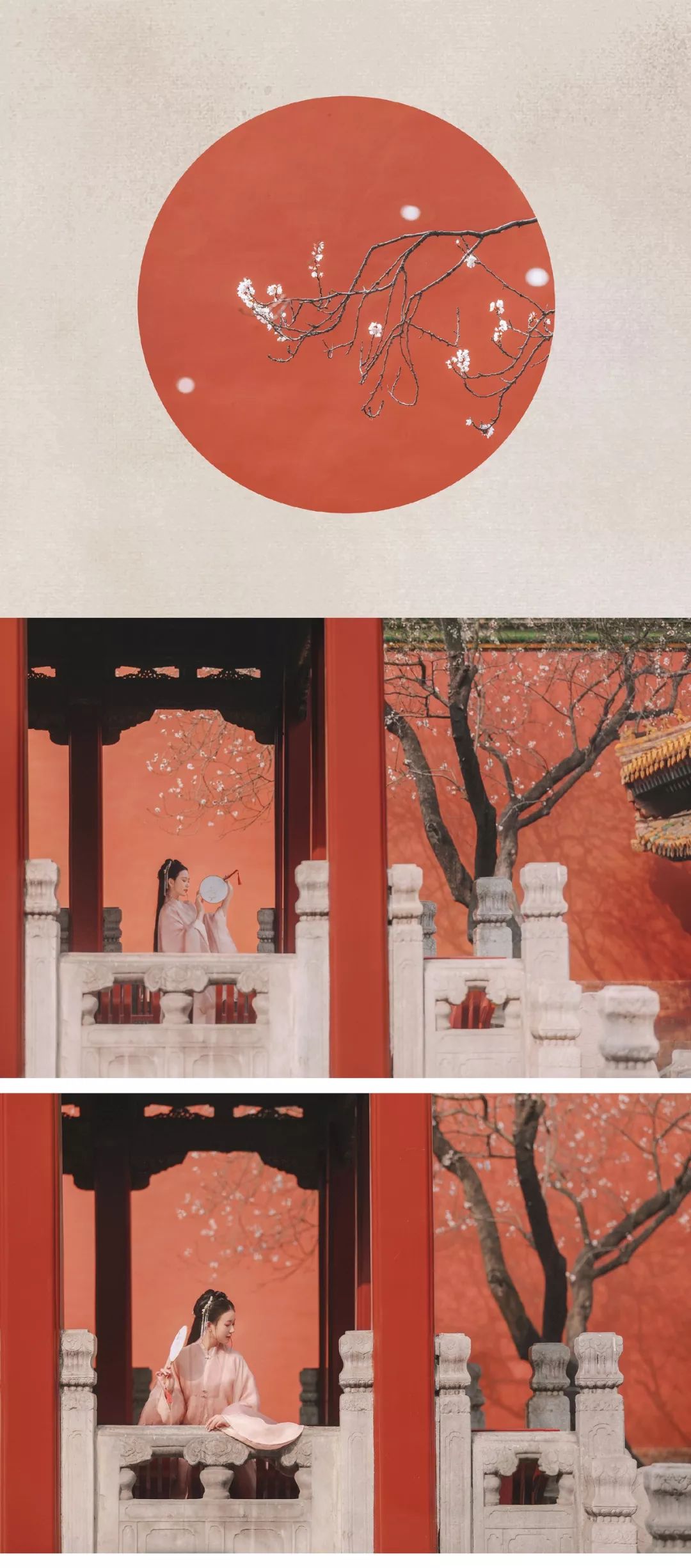汉服摄影｜听说，这是故宫最美的一棵树