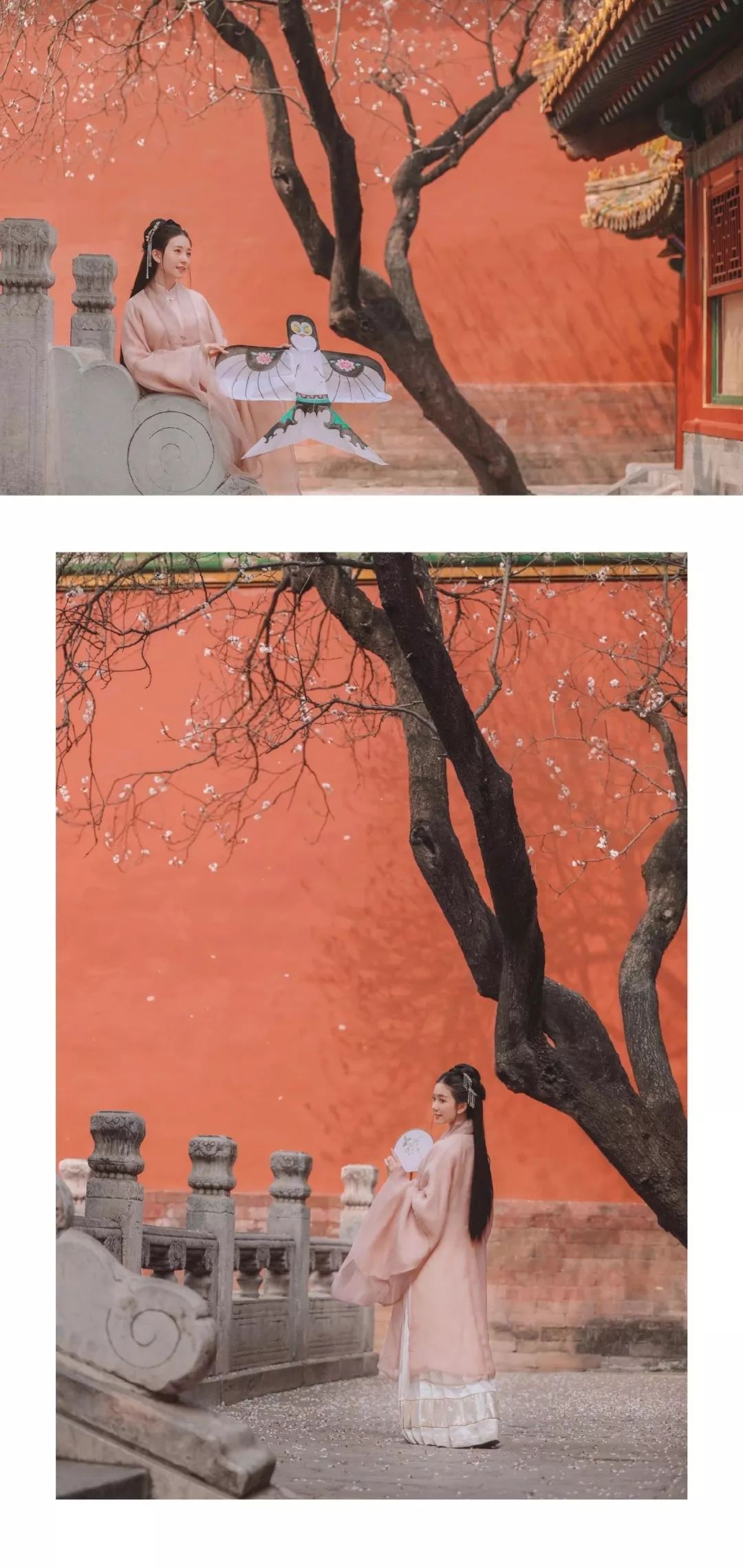汉服摄影｜听说，这是故宫最美的一棵树
