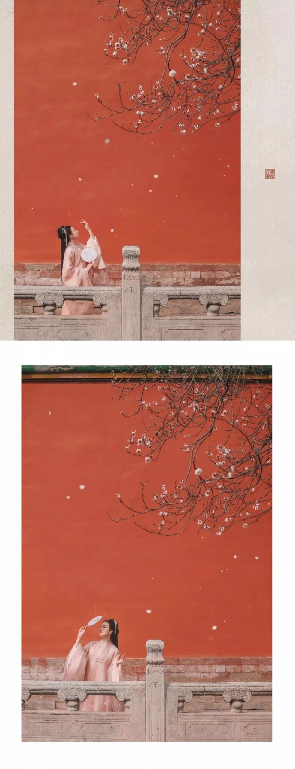 汉服摄影｜听说，这是故宫最美的一棵树
