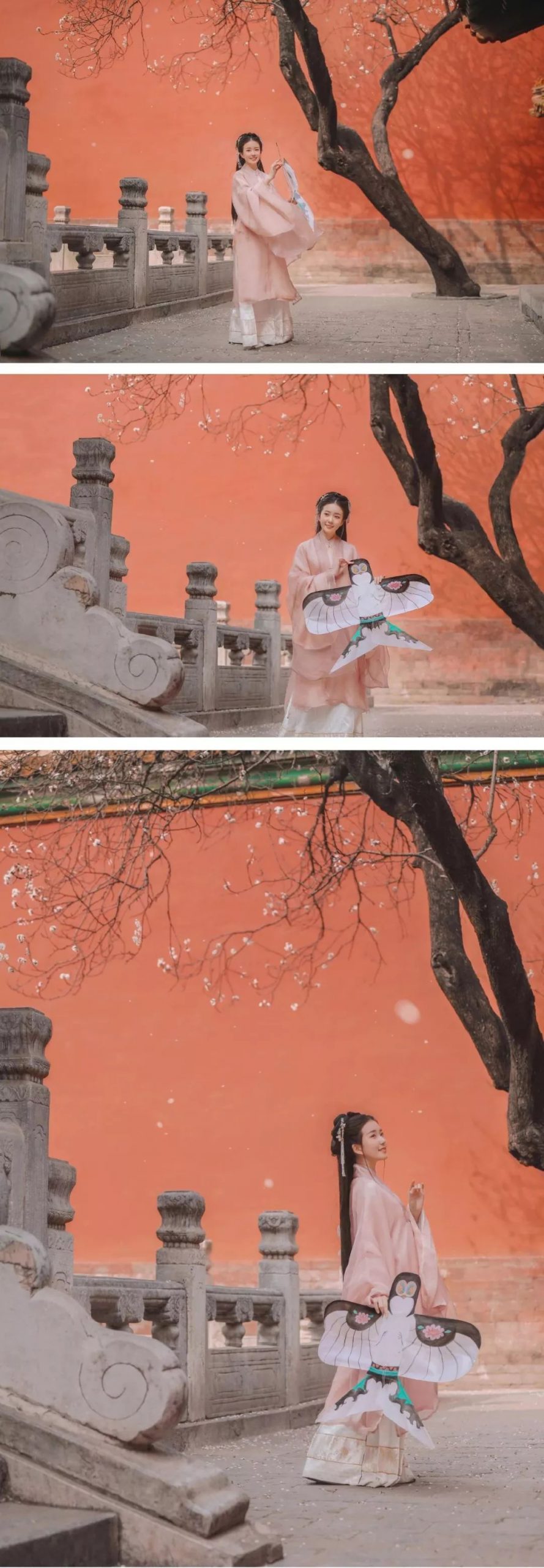 汉服摄影｜听说，这是故宫最美的一棵树