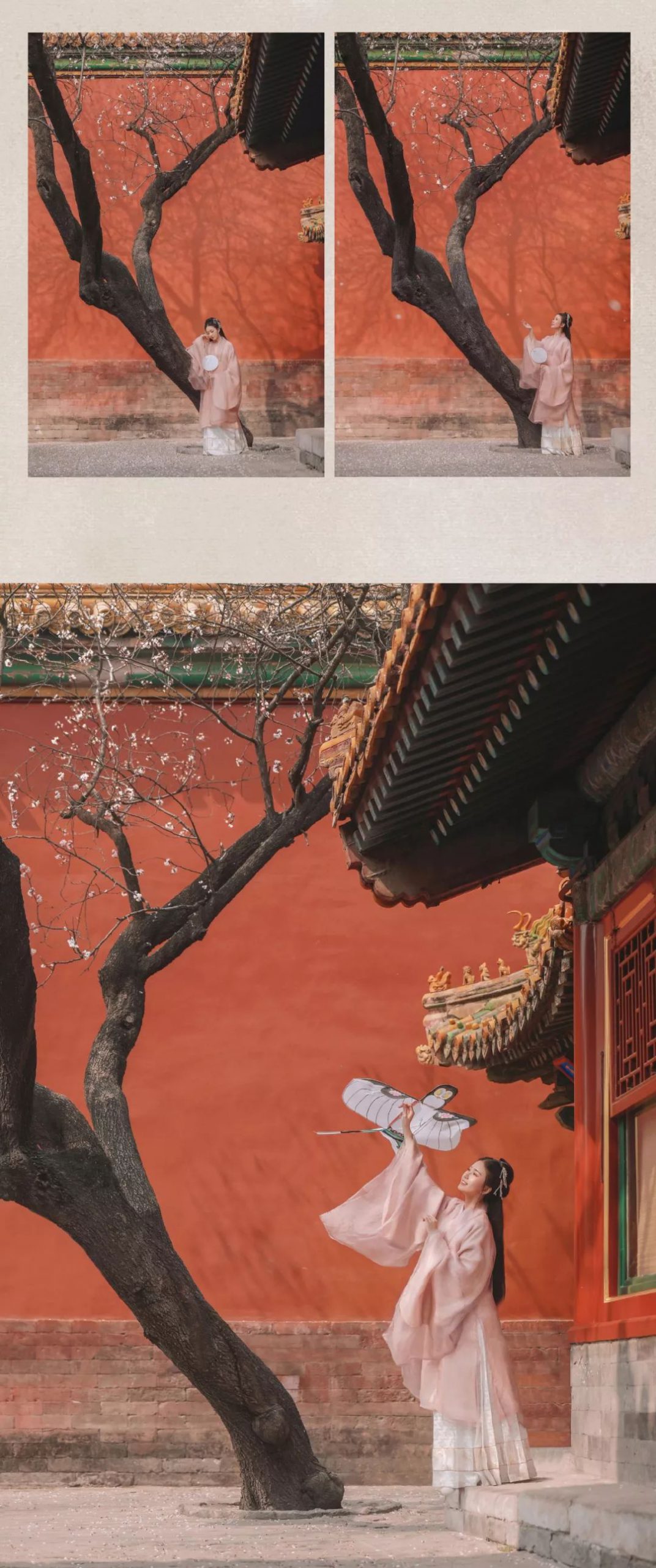 汉服摄影｜听说，这是故宫最美的一棵树