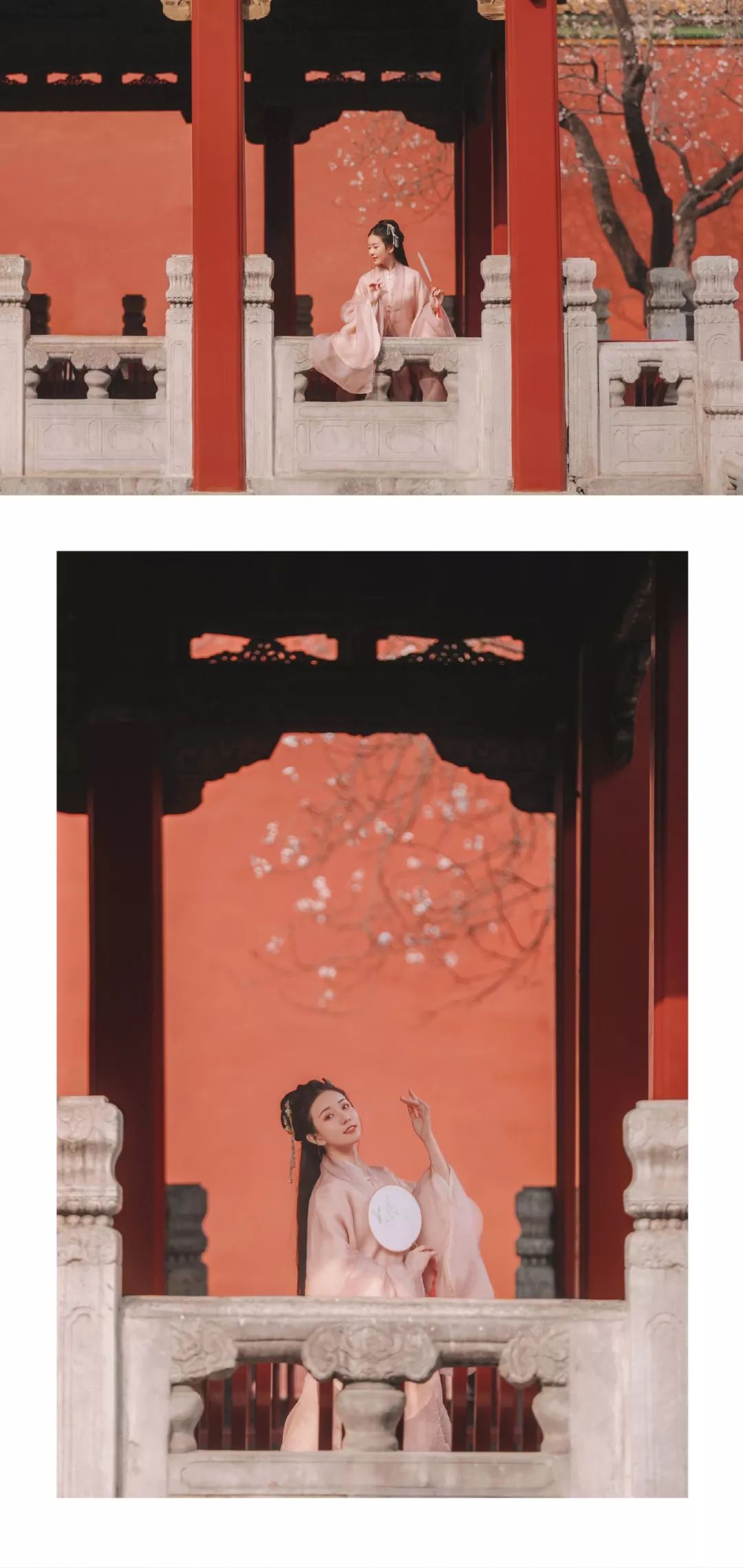 汉服摄影｜听说，这是故宫最美的一棵树