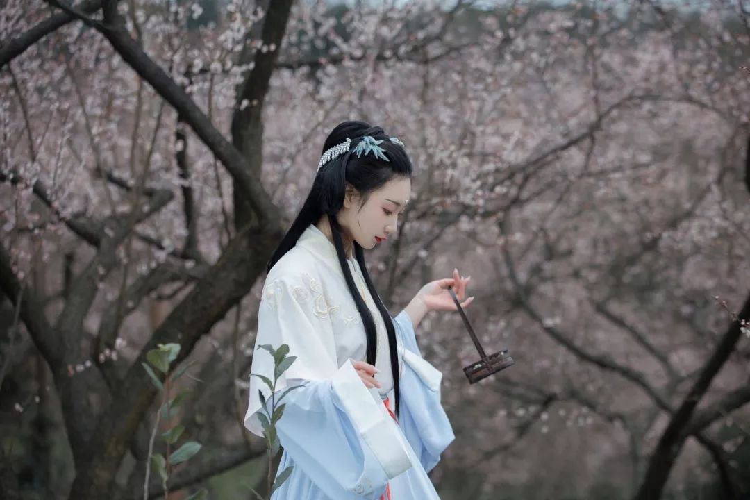 花朝节｜穿着汉服听花语