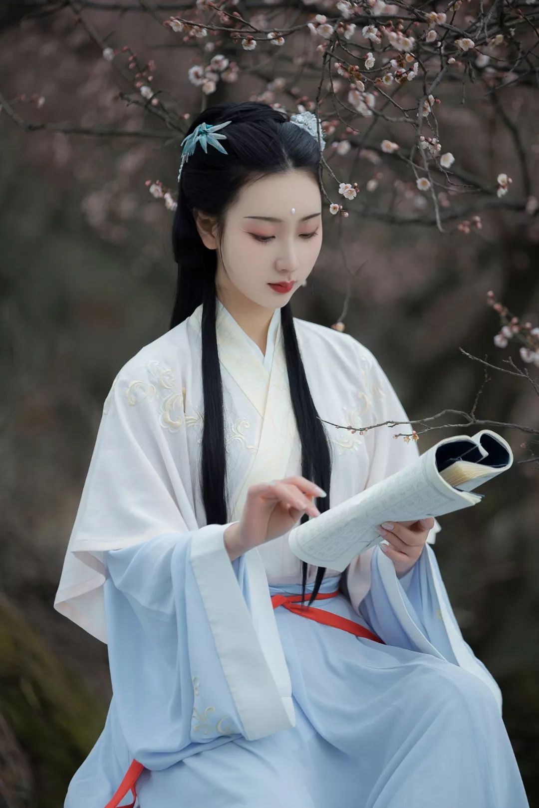 花朝节｜穿着汉服听花语