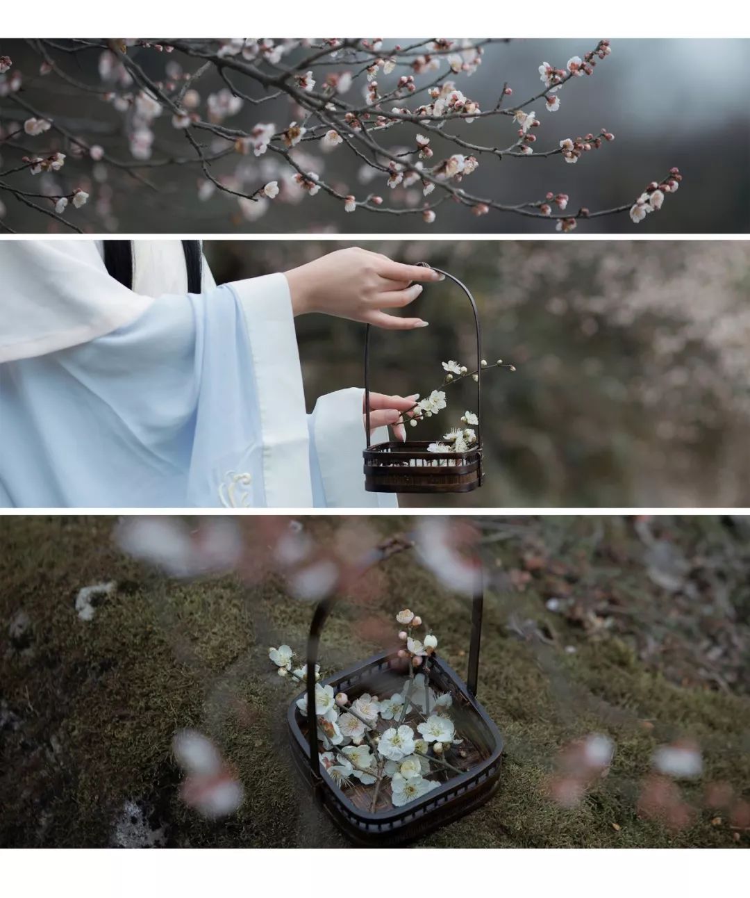 花朝节｜穿着汉服听花语