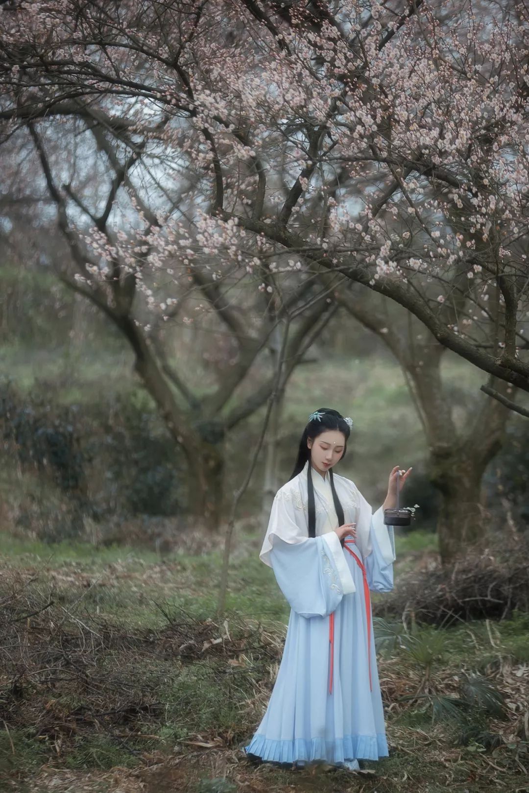花朝节｜穿着汉服听花语