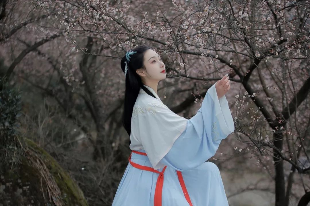 花朝节｜穿着汉服听花语