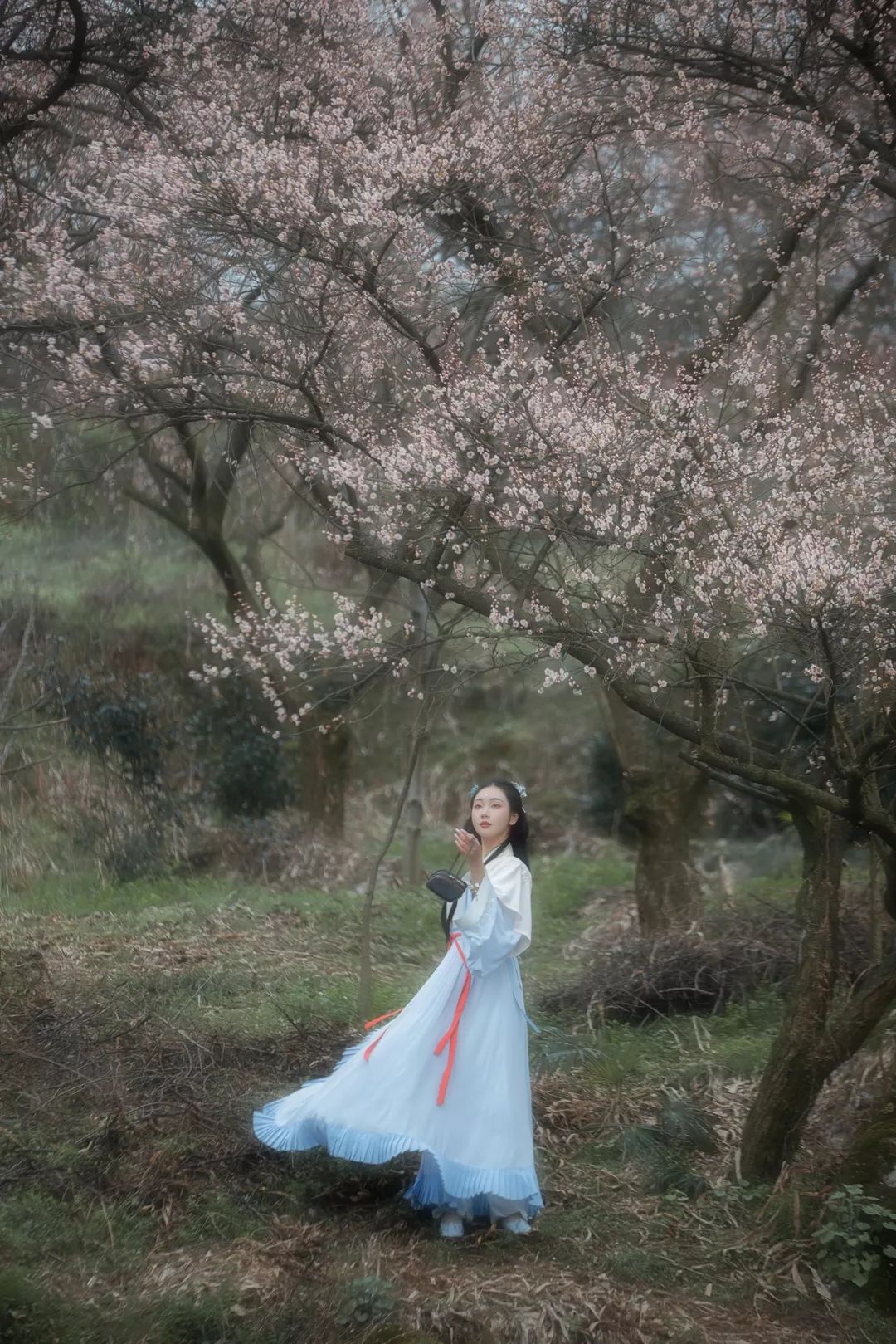 花朝节｜穿着汉服听花语