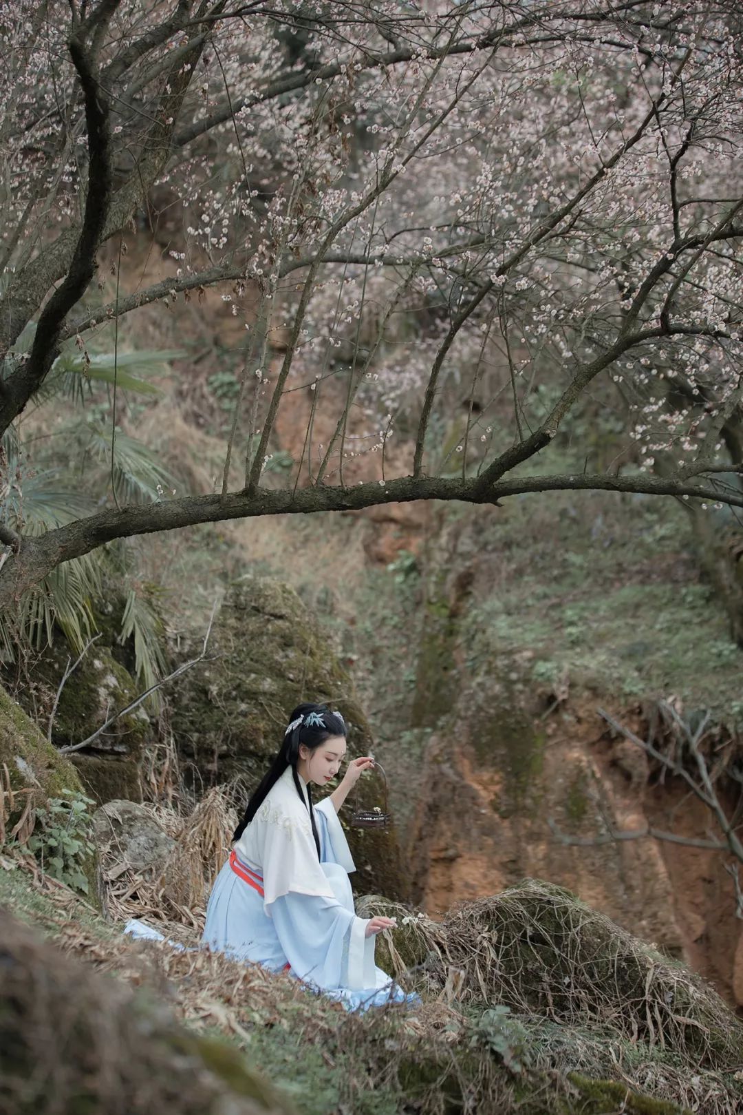 花朝节｜穿着汉服听花语