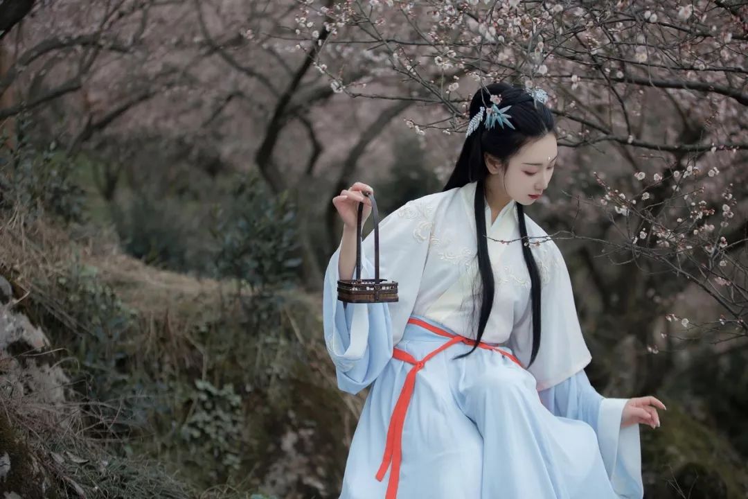 花朝节｜穿着汉服听花语