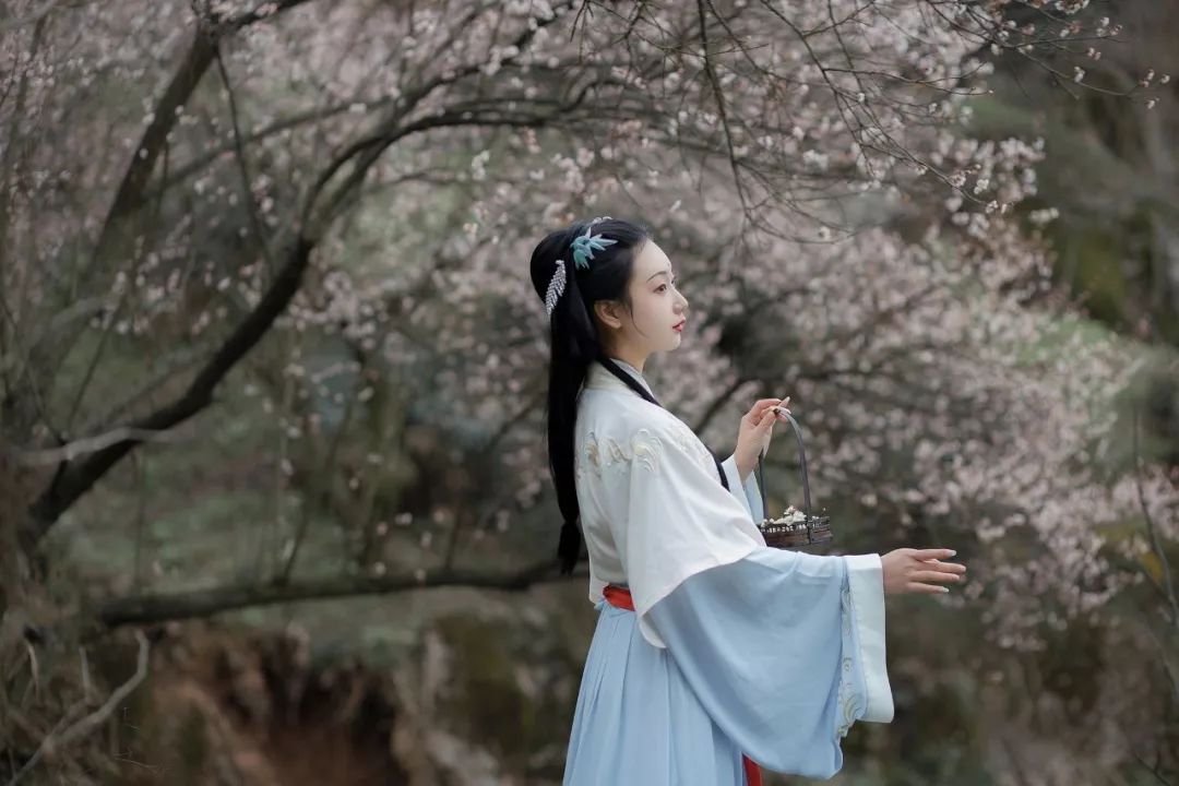 花朝节｜穿着汉服听花语