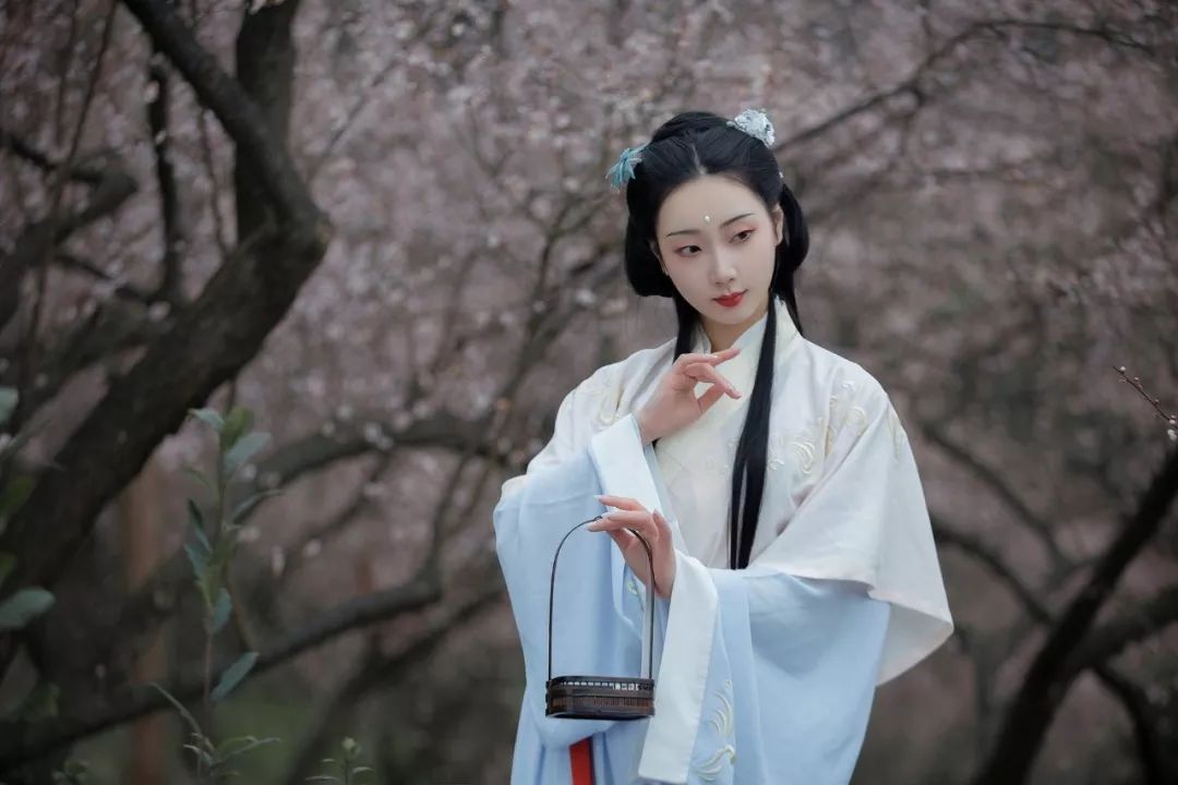 花朝节｜穿着汉服听花语