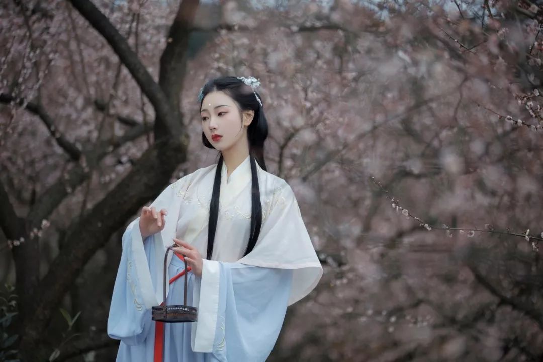 花朝节｜穿着汉服听花语