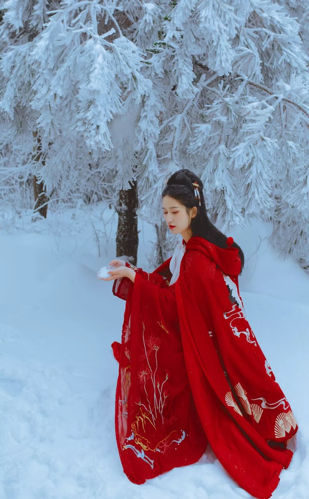 杭州｜穿汉服感受第一场大雪，太美了！