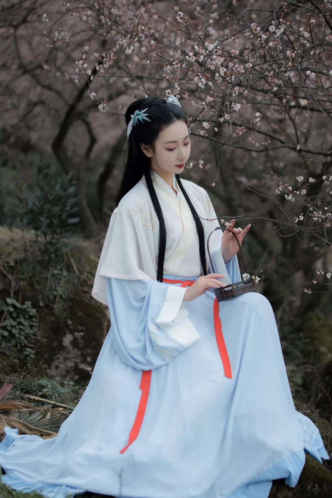 花朝节｜穿着汉服听花语