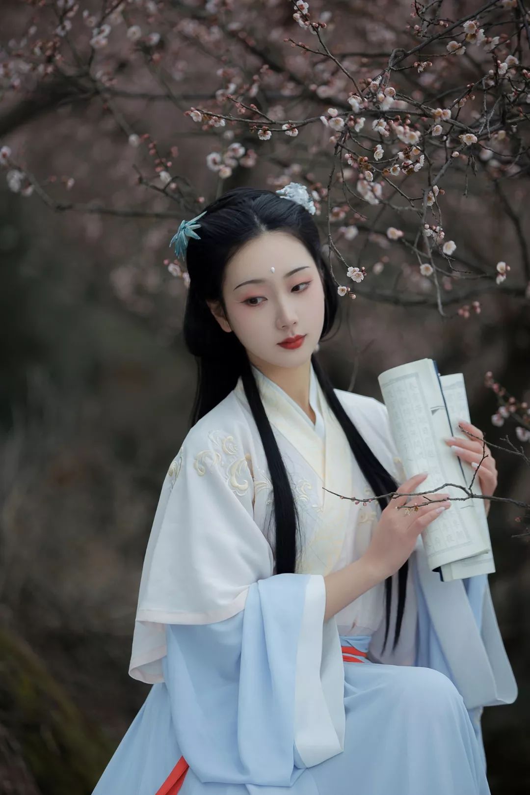 花朝节｜穿着汉服听花语