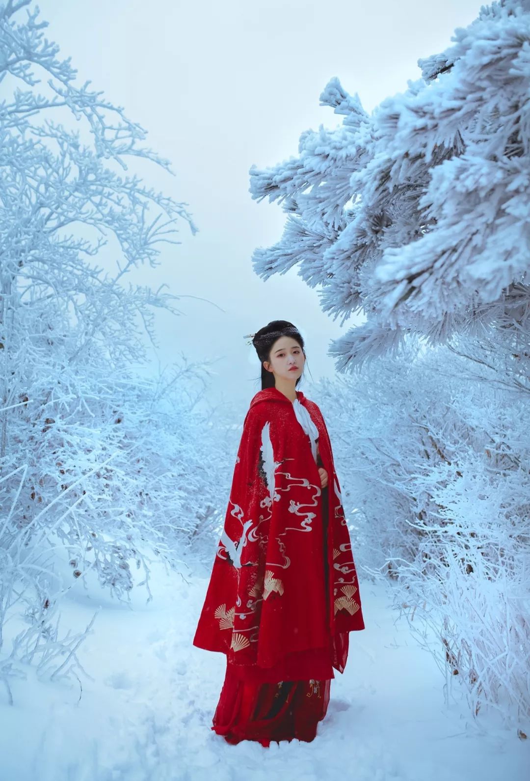 杭州｜穿汉服感受第一场大雪，太美了！