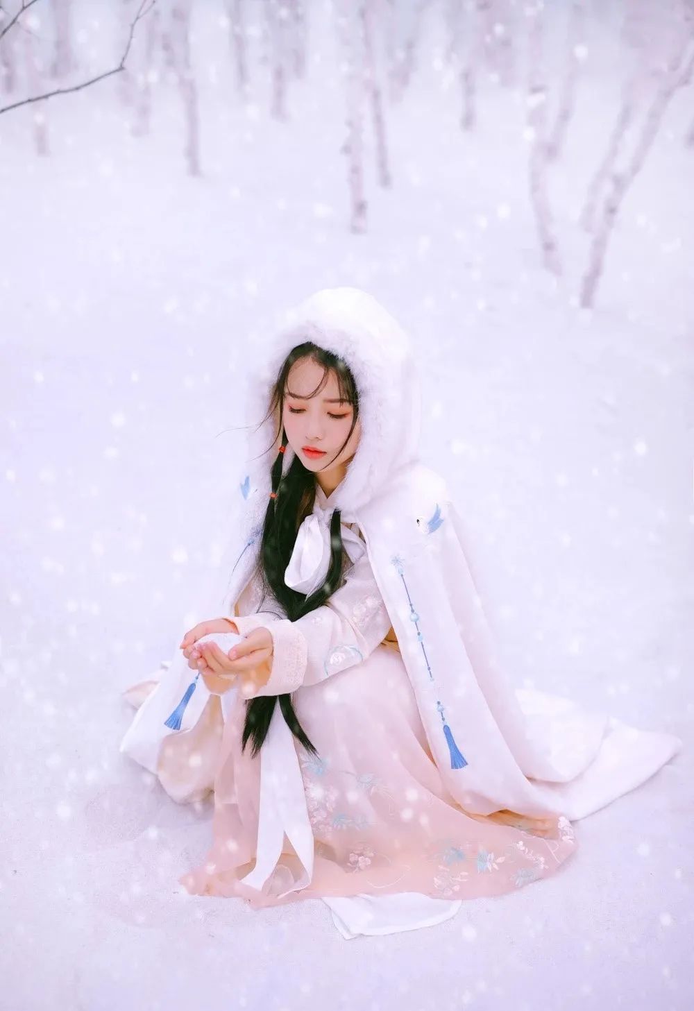 汀枫小筑 | 冬日莽原寻雅韵,恋歌浇雪赴阳春 汀枫小筑 | 冬日莽原寻雅韵,恋歌浇雪赴阳春