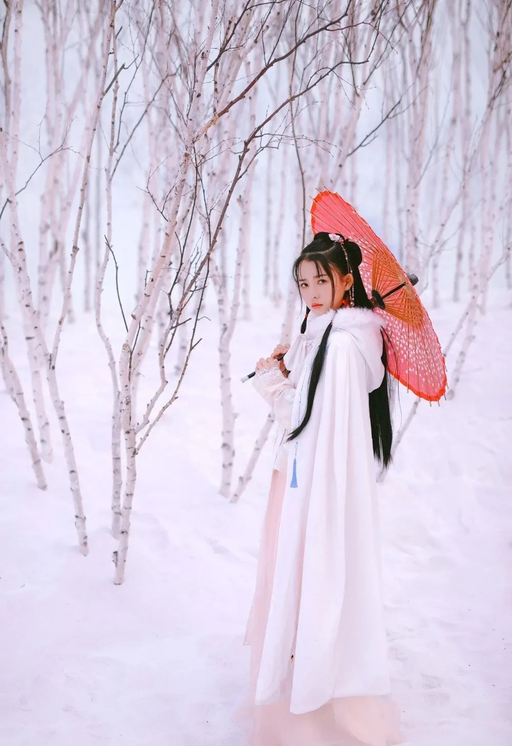 汀枫小筑 | 冬日莽原寻雅韵,恋歌浇雪赴阳春 汀枫小筑 | 冬日莽原寻雅韵,恋歌浇雪赴阳春