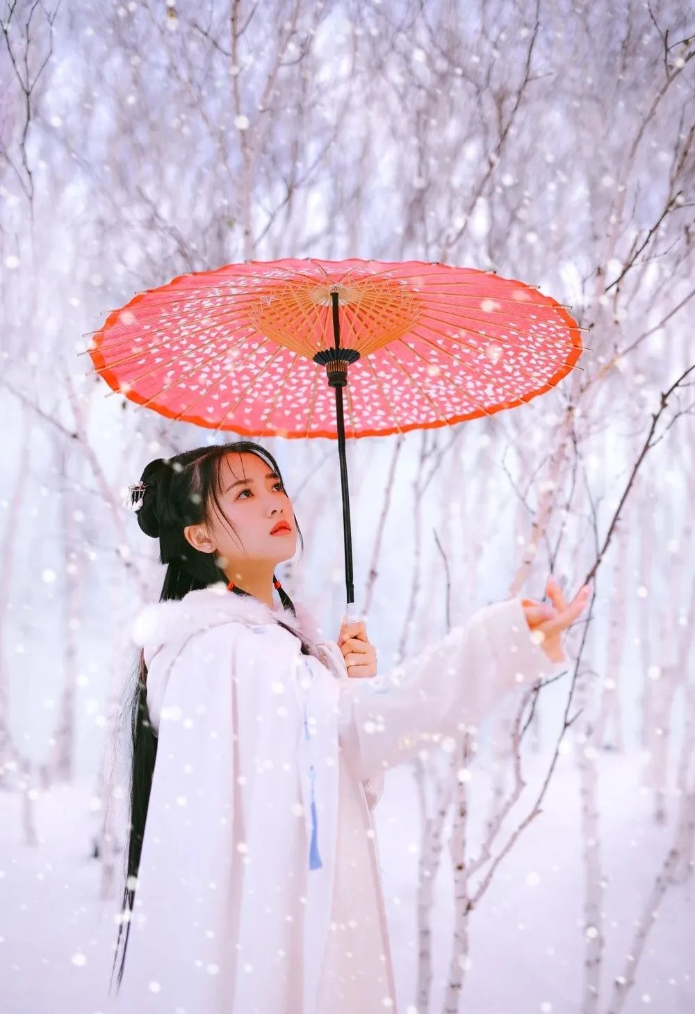 汀枫小筑 | 冬日莽原寻雅韵,恋歌浇雪赴阳春 汀枫小筑 | 冬日莽原寻雅韵,恋歌浇雪赴阳春