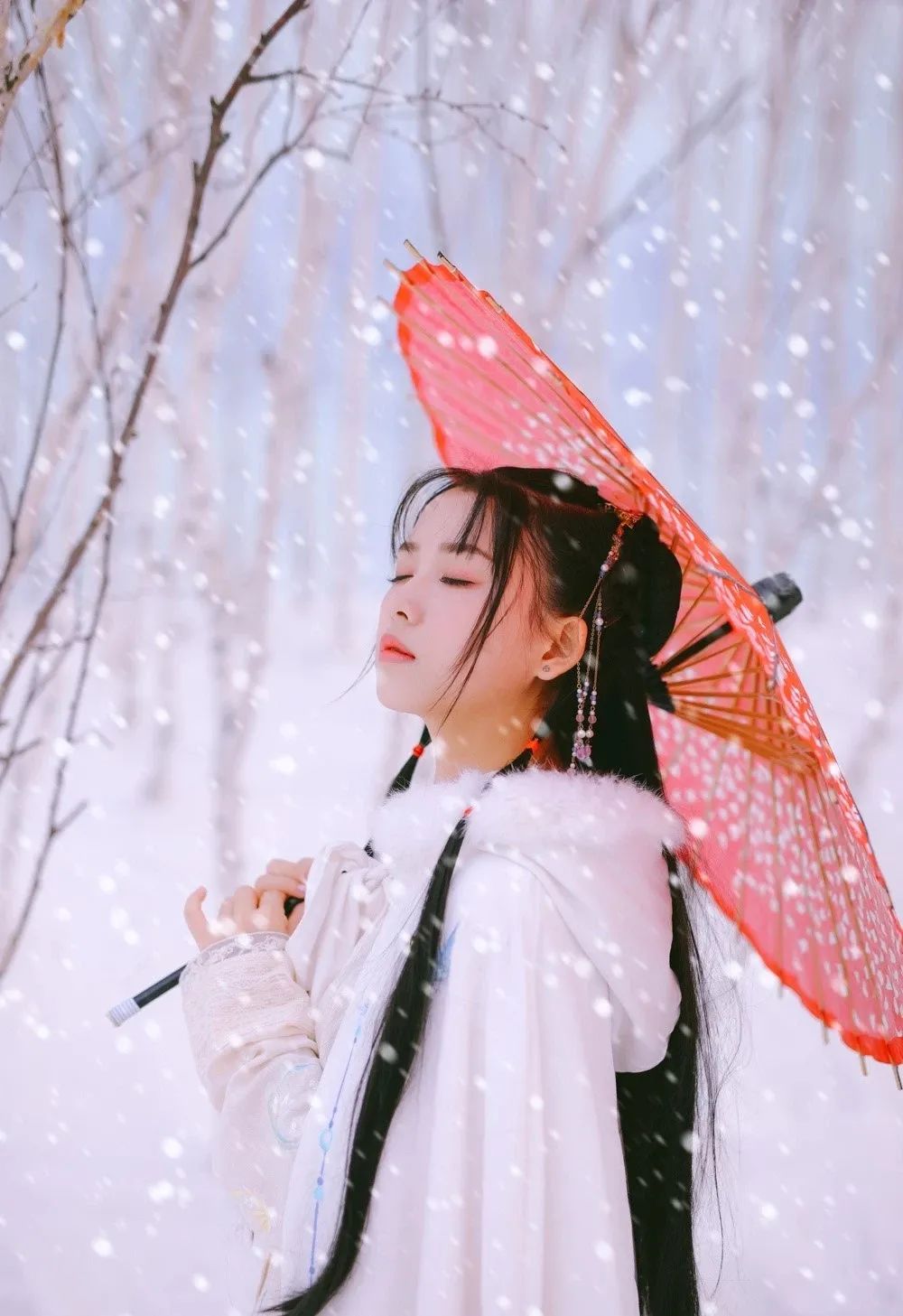 汀枫小筑 | 冬日莽原寻雅韵,恋歌浇雪赴阳春 汀枫小筑 | 冬日莽原寻雅韵,恋歌浇雪赴阳春