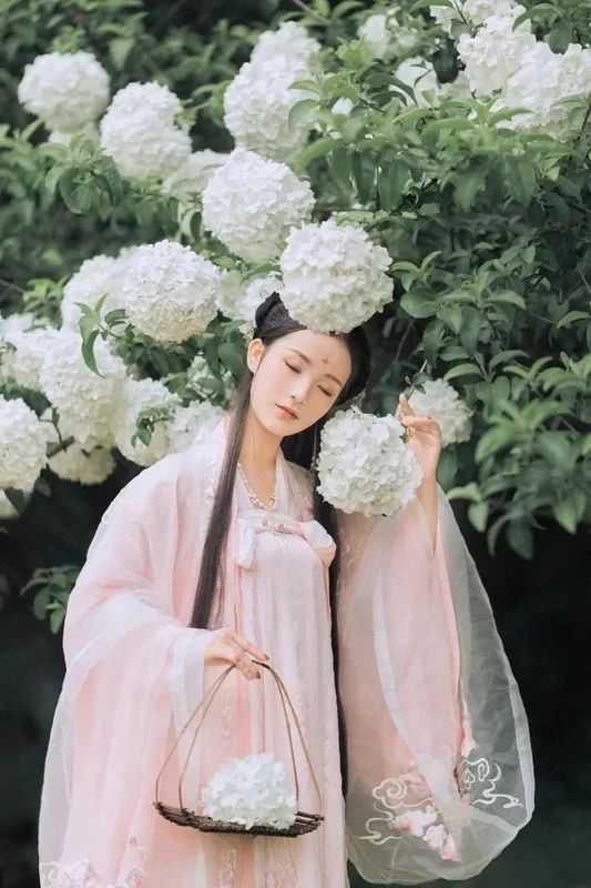 文学诗词 | 欢意未阑随曲付,赏心何处看花回 文学诗词 | 欢意未阑随曲付,赏心何处看花回