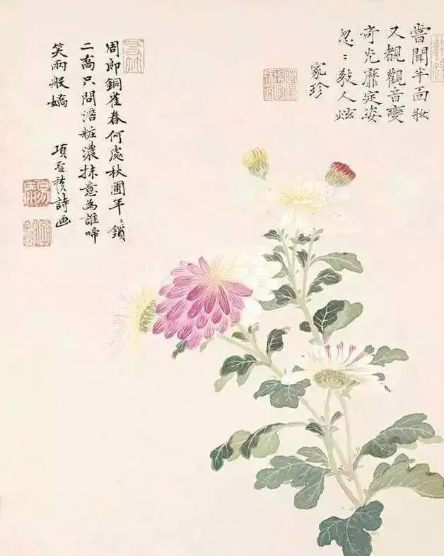 情人节特辑丨余生只愿与君度，情深不负共白头
