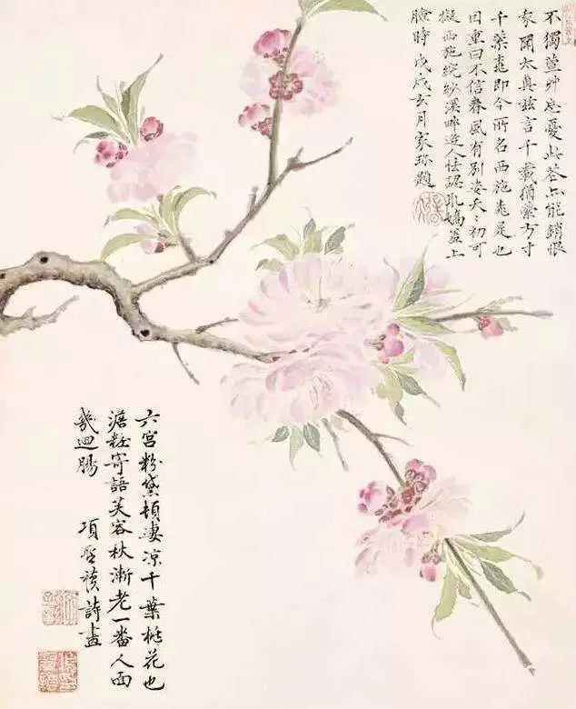 情人节特辑丨余生只愿与君度，情深不负共白头