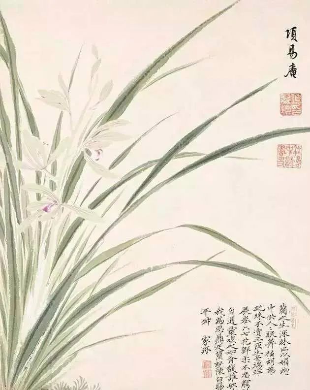 情人节特辑丨余生只愿与君度，情深不负共白头