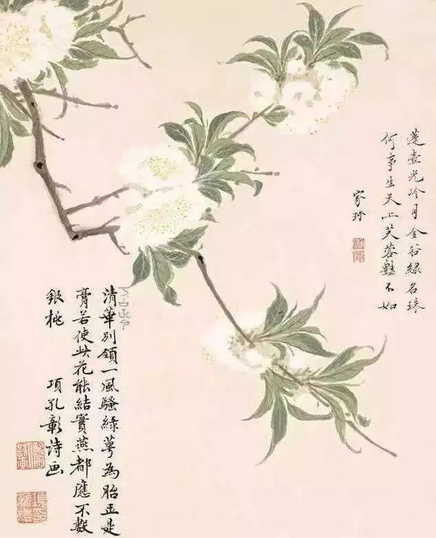 情人节特辑丨余生只愿与君度，情深不负共白头