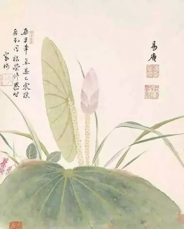 情人节特辑丨余生只愿与君度，情深不负共白头