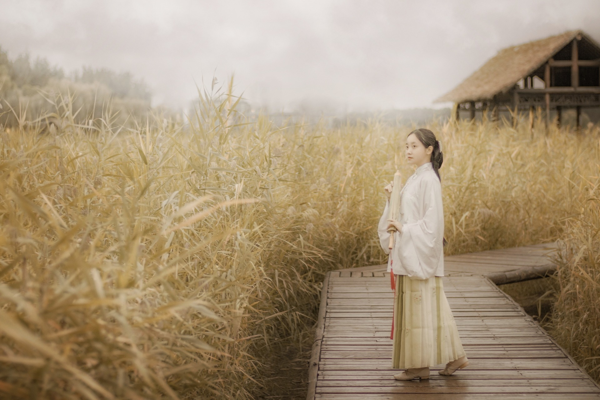 芦苇潇潇秋风晚，一片心事化雨中｜汉服摄影