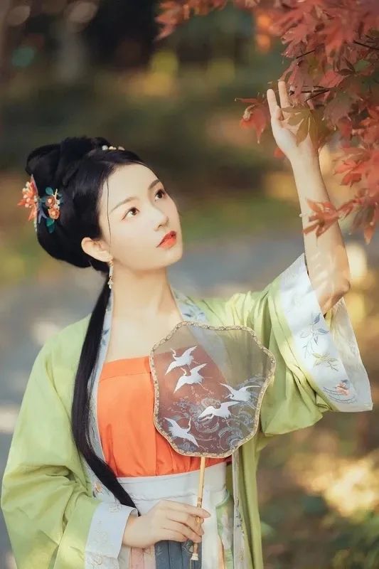 汀枫小筑 | 雪樱花晓：几重花影叠心事，一寸秋心入旧弦