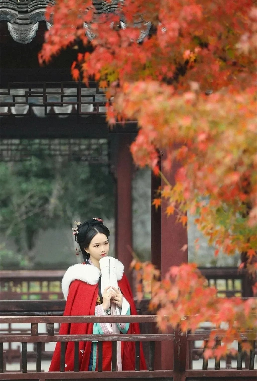 汀枫小筑 | 锦帐春馀情未及，怀人梦浅恨犹添