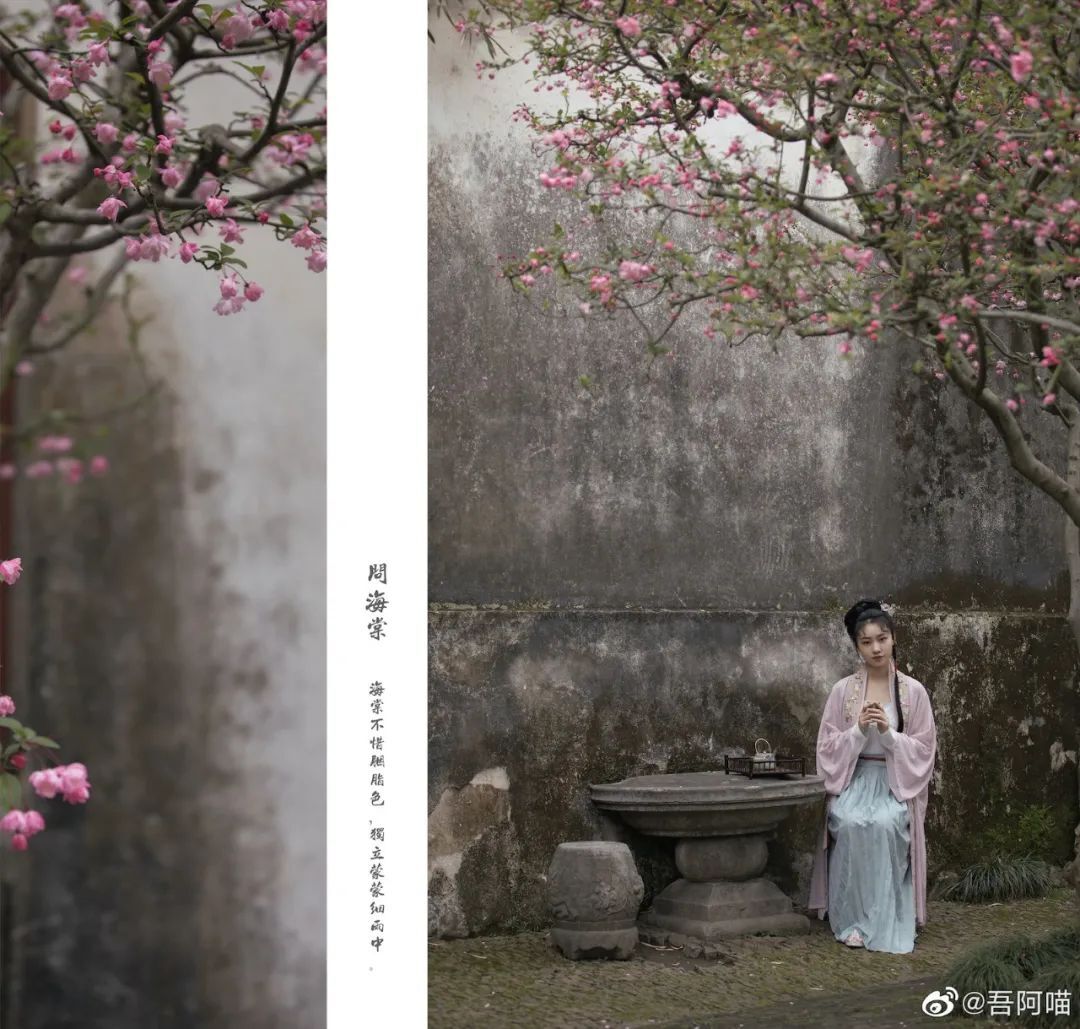 穿汉服游赏中国｜苏州留园