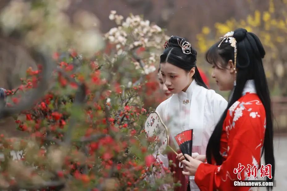 年轻人“入了圈”，汉服“出了圈”