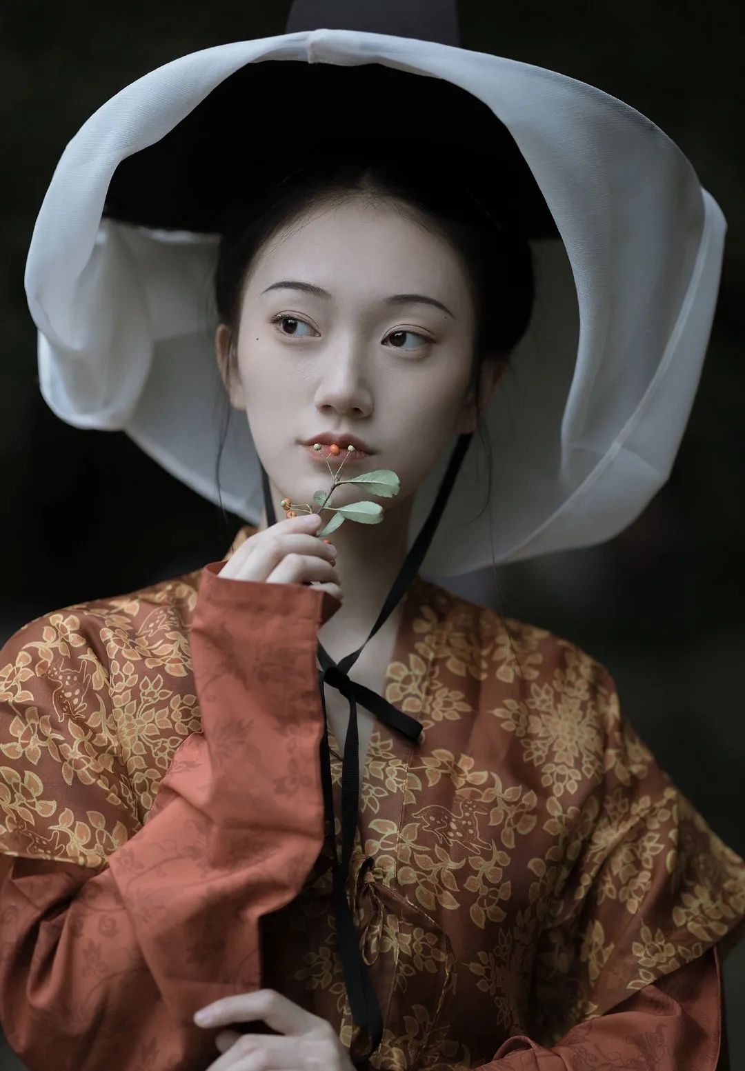 浅谈当代汉服复兴运动对推动中华文化传播的意义 浅谈当代汉服复兴运动对推动中华文化传播的意义