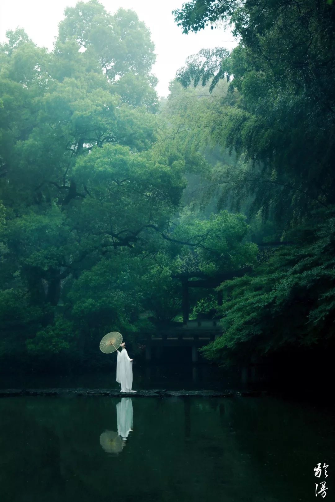 空山。新雨
