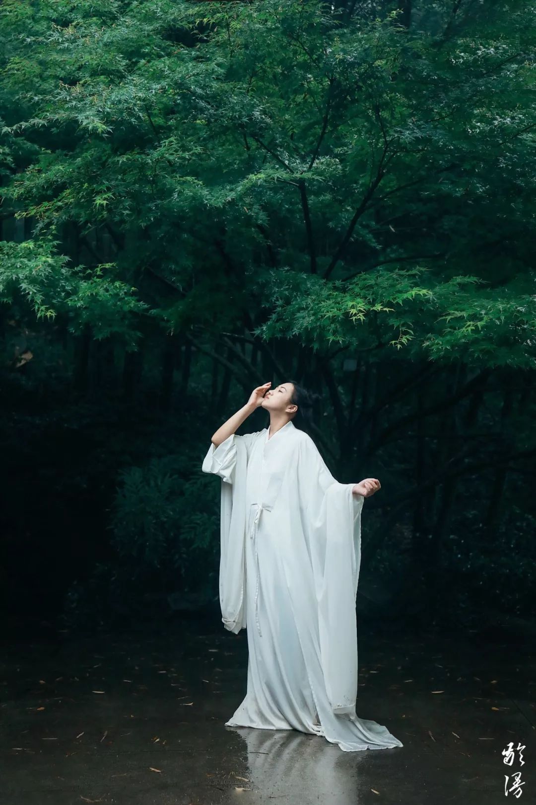 空山。新雨