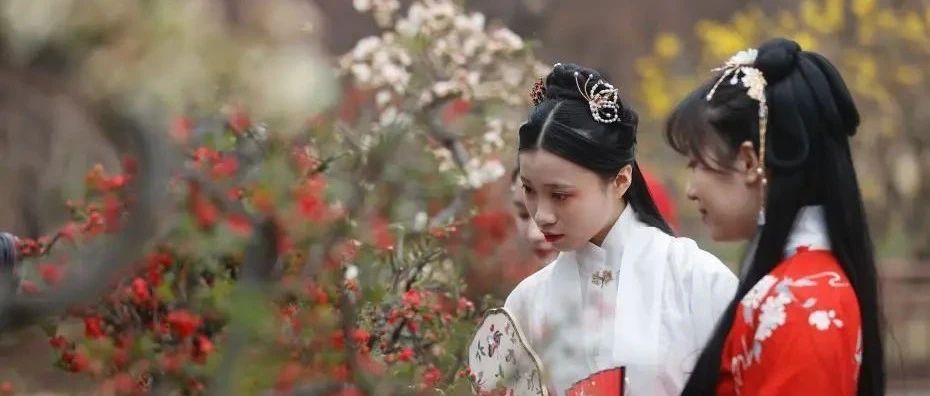 年轻人“入了圈”,汉服“出了圈”