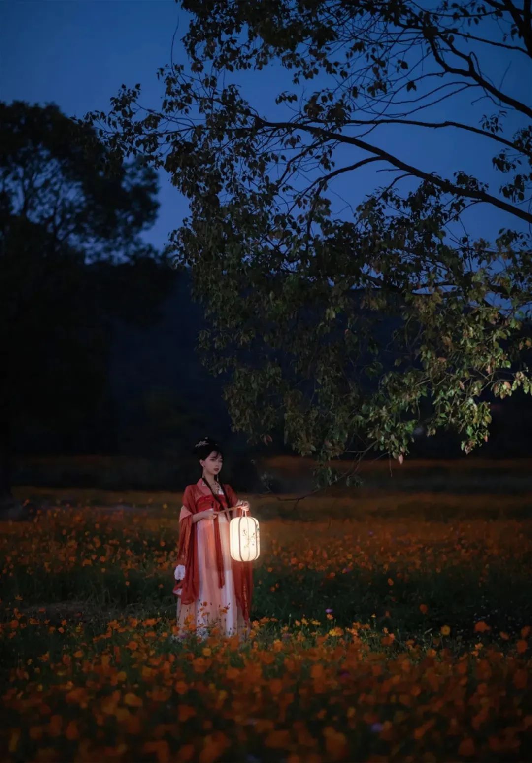 汉服颂 | 一曲赊来桂殿秋，千盅赋得朝中措