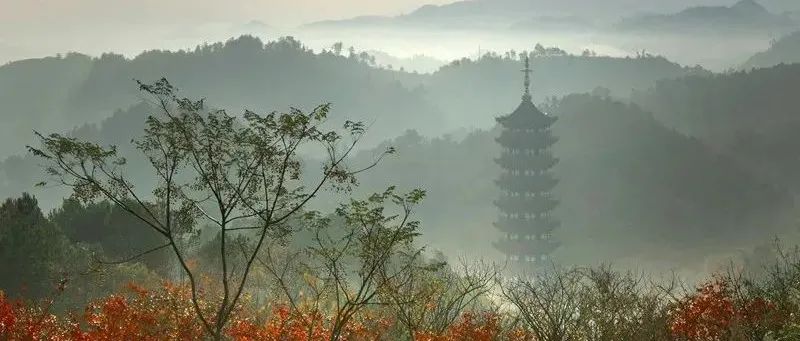 遇酒逢花须一笑，故留秋意作重阳