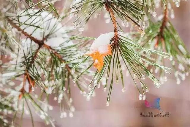 立冬来了，你捂暖了吗？